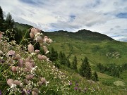 MONTE MINCUCCO (croce 1832 m - cima 2001 m) ad anello dal piano del Lago di Valmora il 17 luglio 2021 - FOTOGALLERY